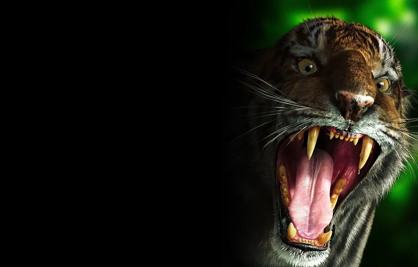 Photo wallpaper tiger, teeth, evil