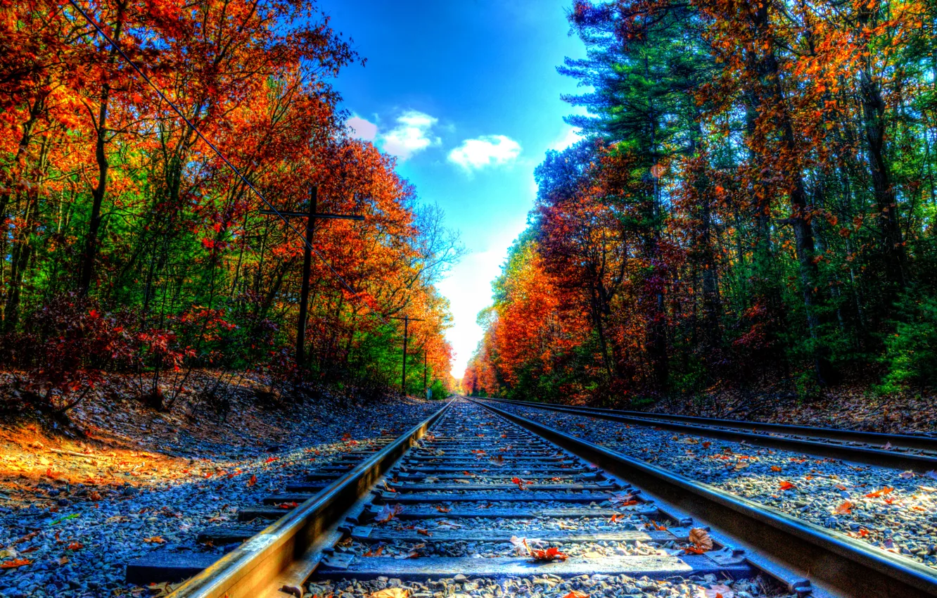 Photo wallpaper autumn, trees, foliage, rails, railroad, sleepers