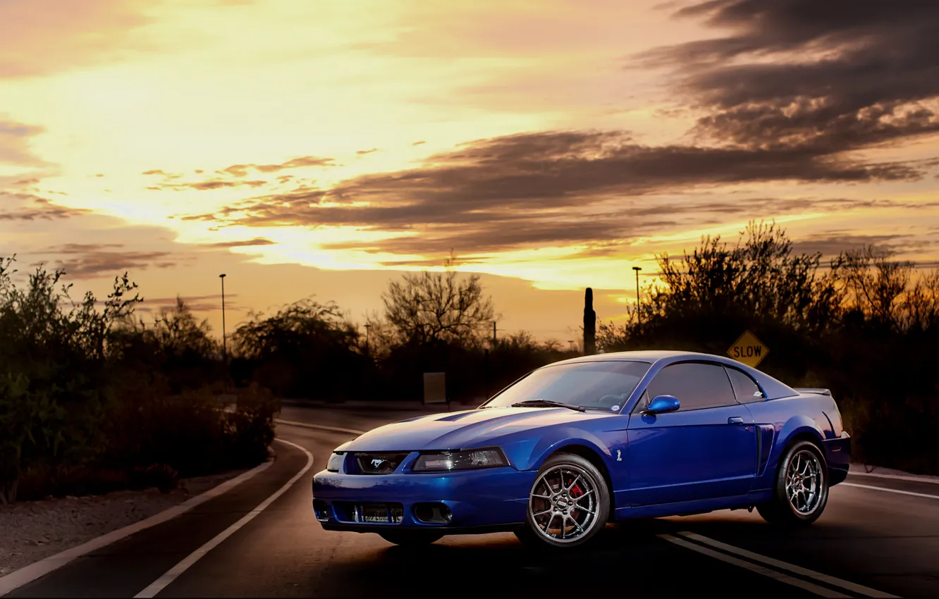 Photo wallpaper the sun, sunset, Mustang, Ford, Mustang, cars, Ford, cars