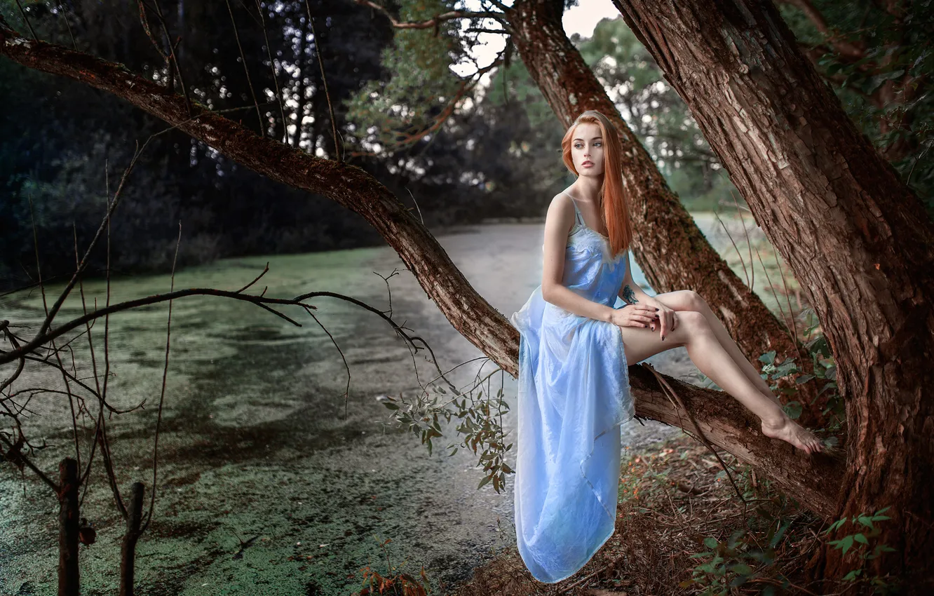 Photo wallpaper girl, nature, pond, red, beautiful, sitting, on the tree, in the woods
