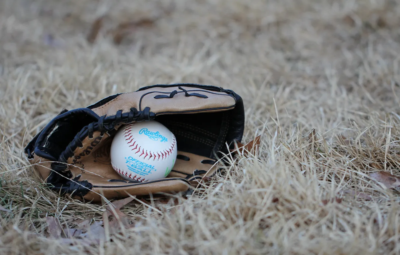 Photo wallpaper sport, the ball, glove, baseball