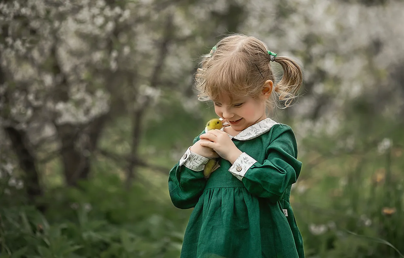 Photo wallpaper children, spring, girl, duck, baby, Chicks, Irina Larina