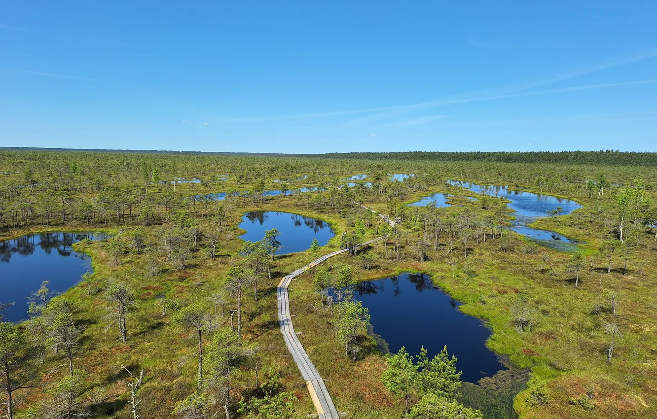Photo wallpaper Parks in Latvia, Kemeri National Park, Nature in Latvia wallpaper, Ķemeri National Park, Kemeri National …