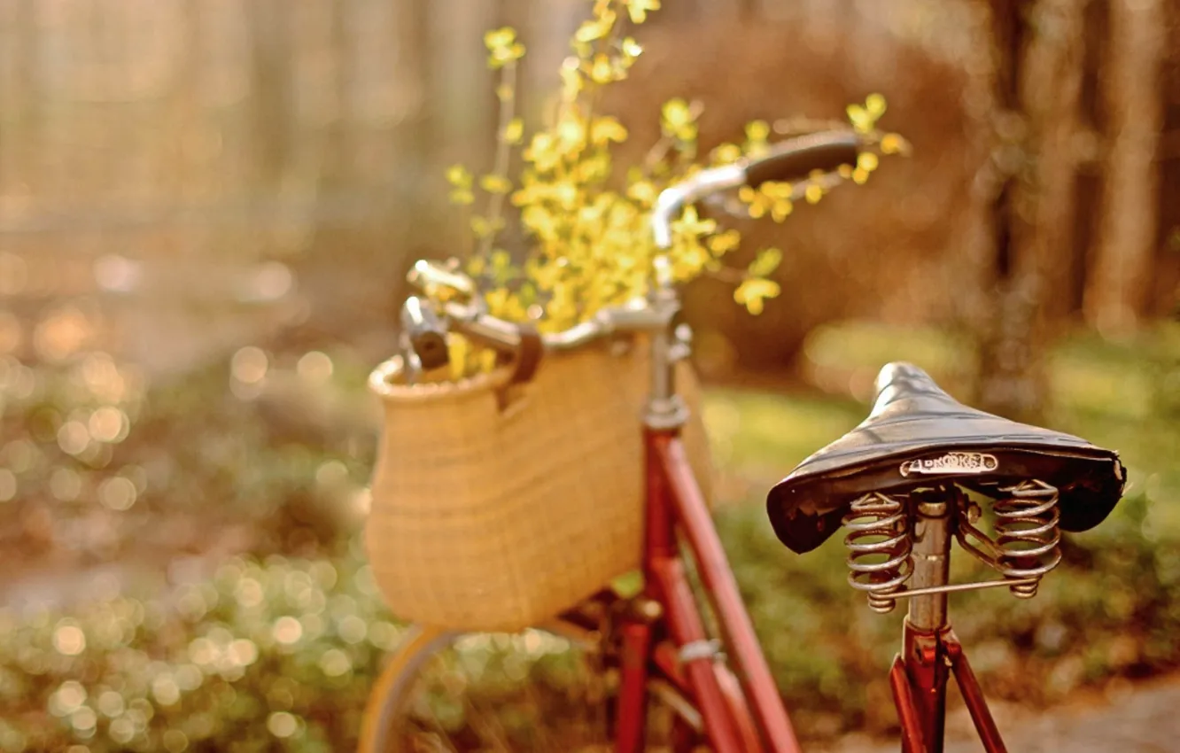 Photo wallpaper flowers, bike, petals, bokeh