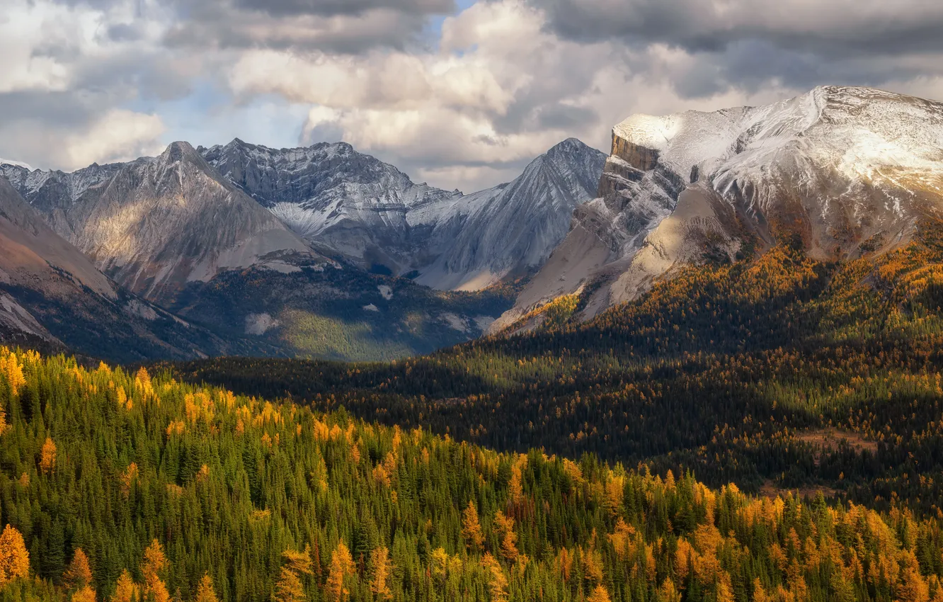 Photo wallpaper slope, view, haze, mountains, forest, autumn, clouds