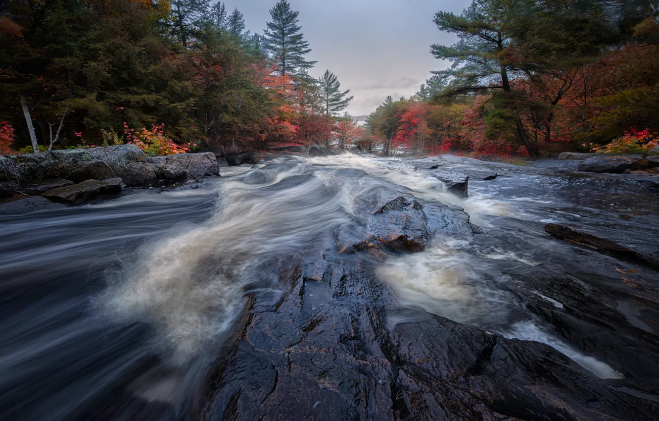 Photo wallpaper autumn, forest, rocks, waterfall