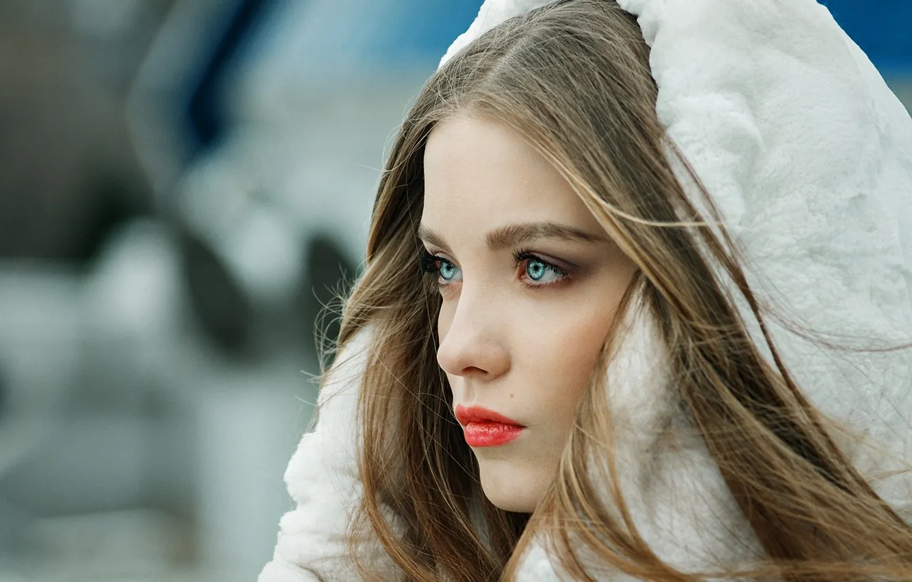 Photo wallpaper look, Milan, blue-eyed, Andrey Plotnikov