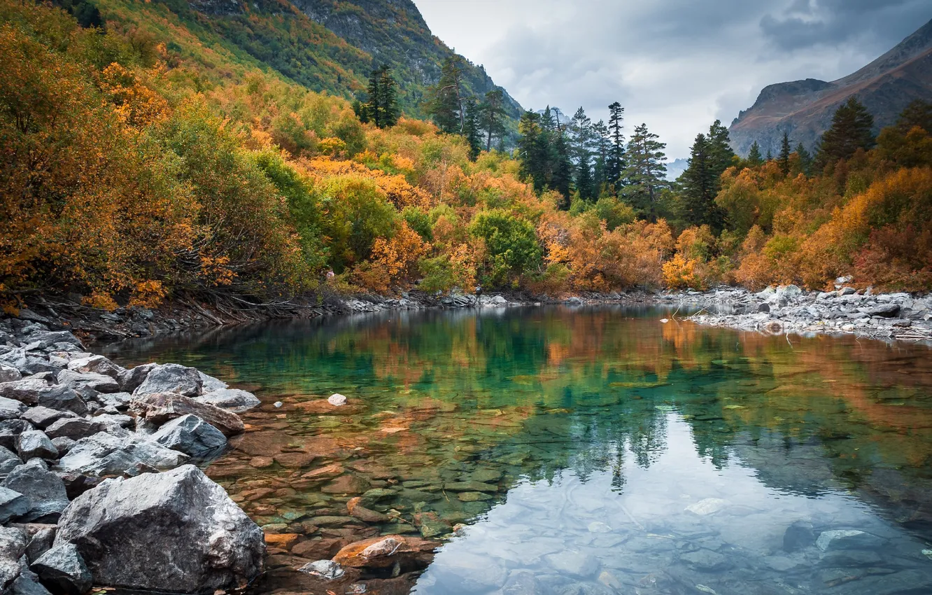 Photo wallpaper autumn, forest, the sky, clouds, trees, landscape, mountains, nature