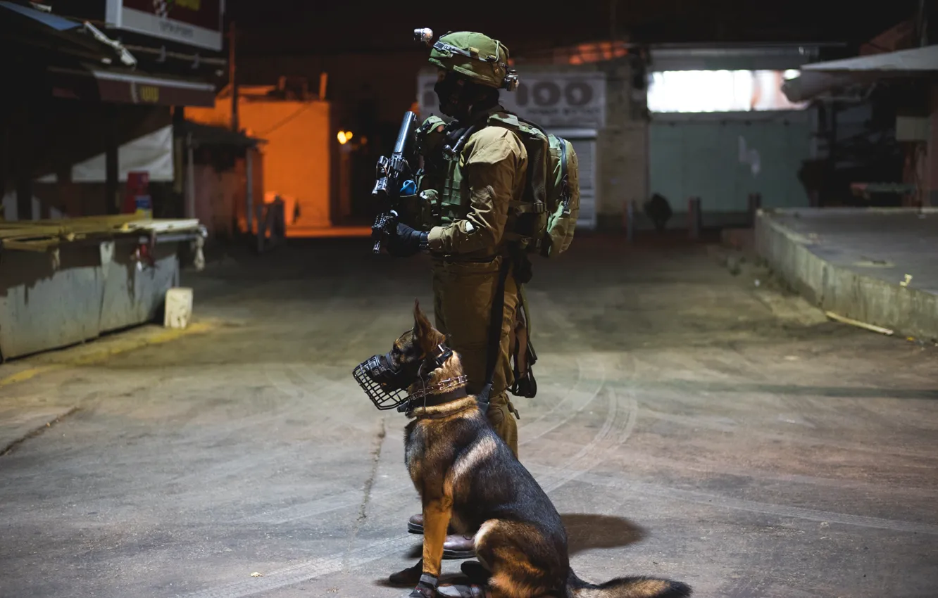 Photo wallpaper dog, soldiers, machine, form, service