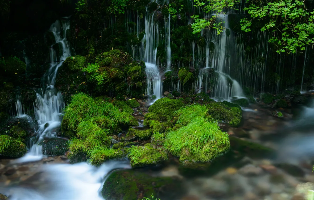 Photo wallpaper greens, water, waterfall