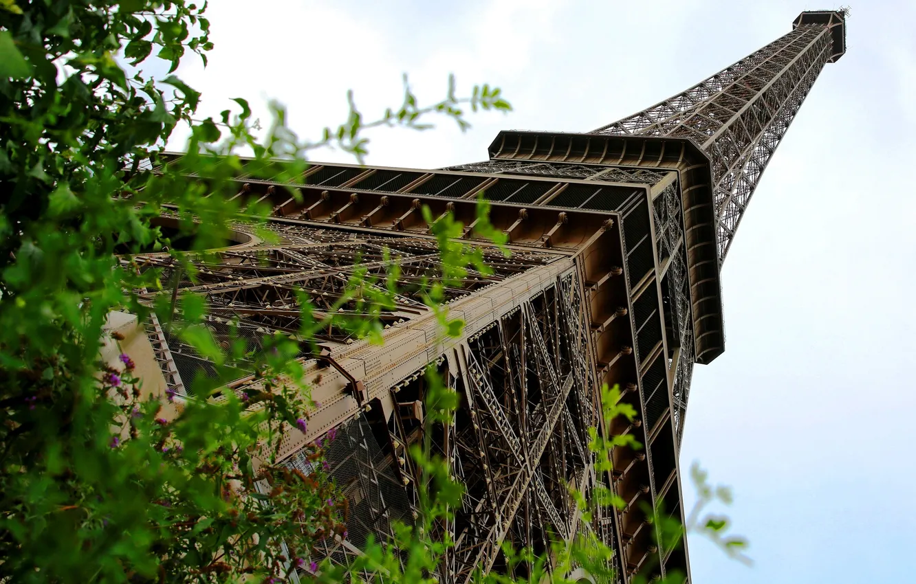 Photo wallpaper France, Paris, Eiffel tower