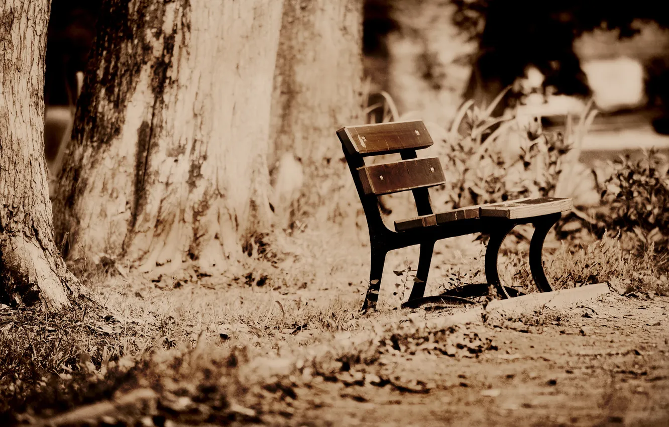 Photo wallpaper autumn, nature, Park, bench