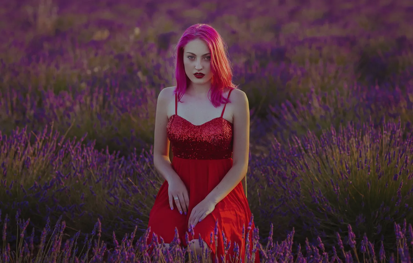 Photo wallpaper summer, girl, face, background, hair, color, dress