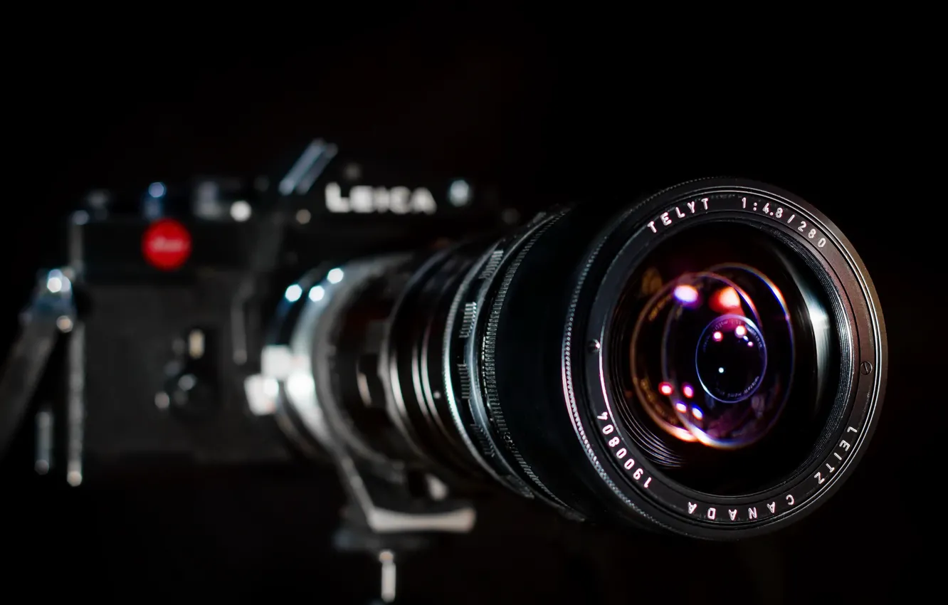 Photo wallpaper macro, background, camera