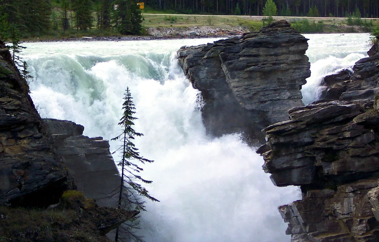 Photo wallpaper trees, squirt, river, rocks, waterfall, stream