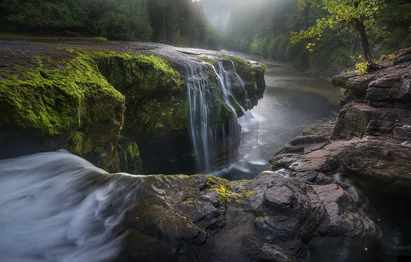 Photo wallpaper forest, river, stone, waterfall, waterfall