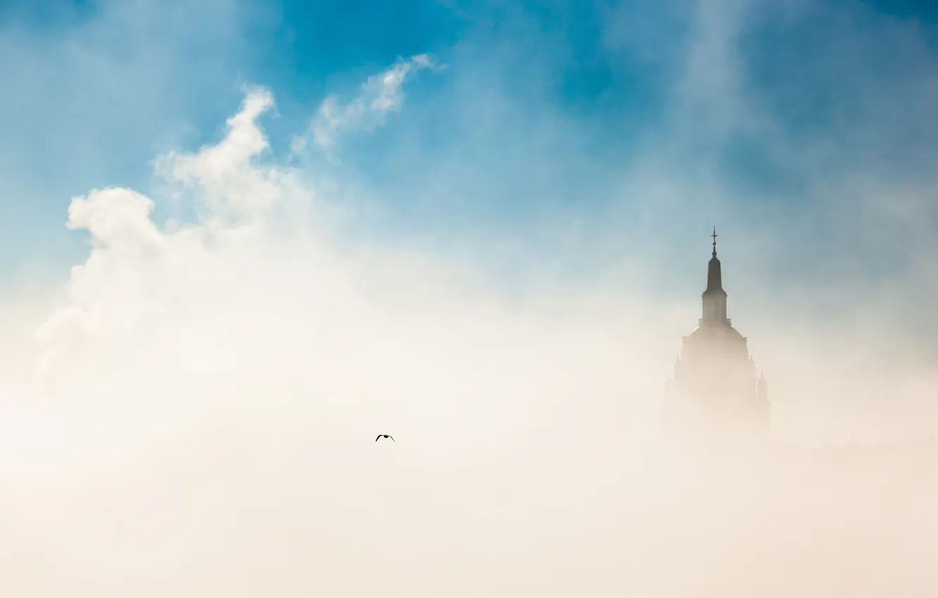 Photo wallpaper the sky, the city, fog, bird, morning, Budapest