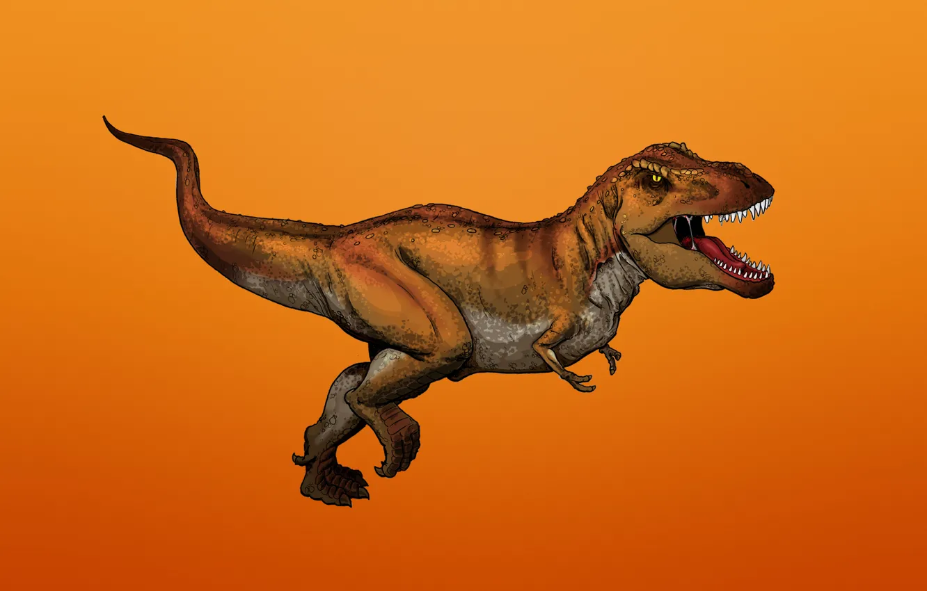 Photo wallpaper dinosaur, predator, Dinosaur, toothy, Tyrannosaurus, reddish background, Tyrannosaurus, T-Rex