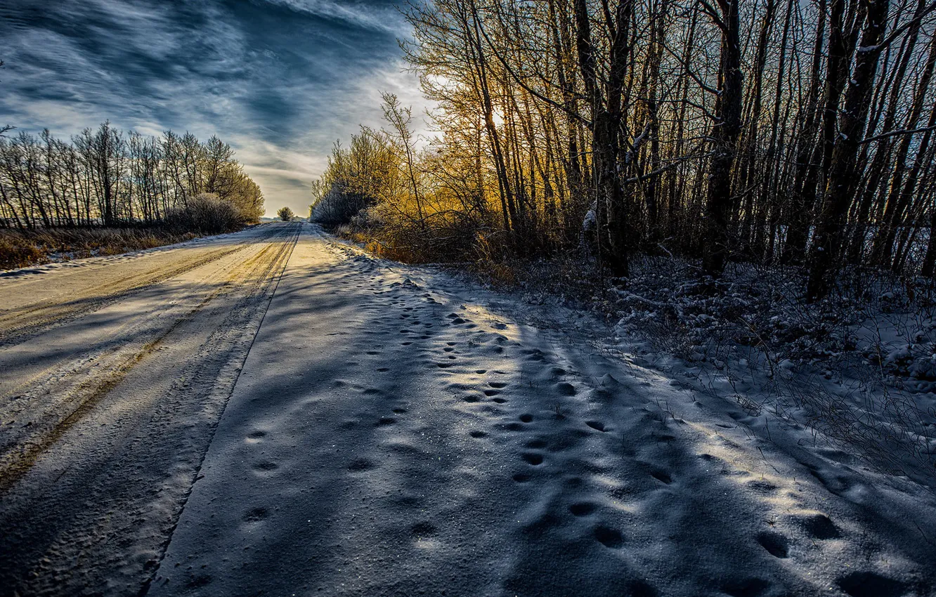 Photo wallpaper winter, road, morning