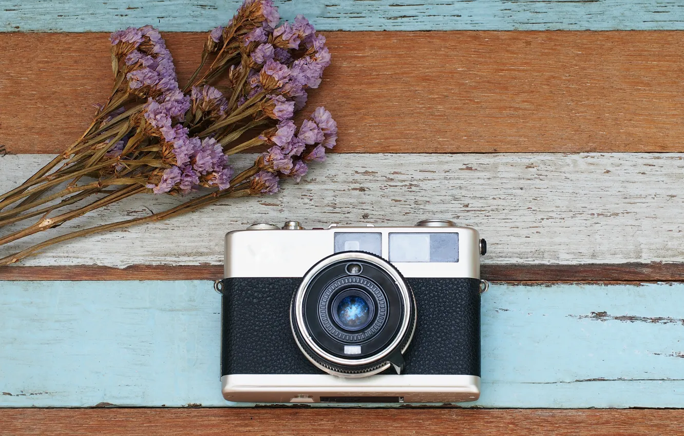 Photo wallpaper flowers, The camera, lavender