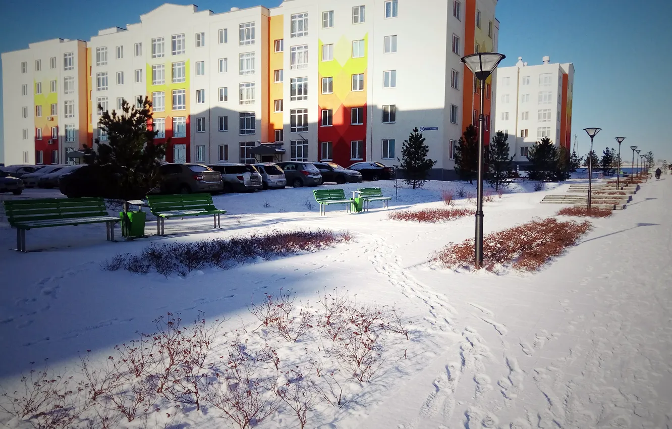 Photo wallpaper Winter, Minimalism, Kemerovo, Forest glade