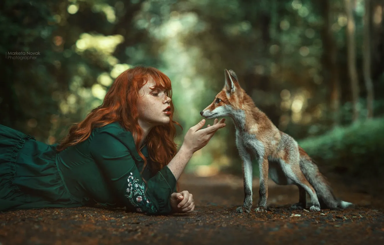 Photo wallpaper girl, nature, face, pose, hands, dress, Fox, freckles