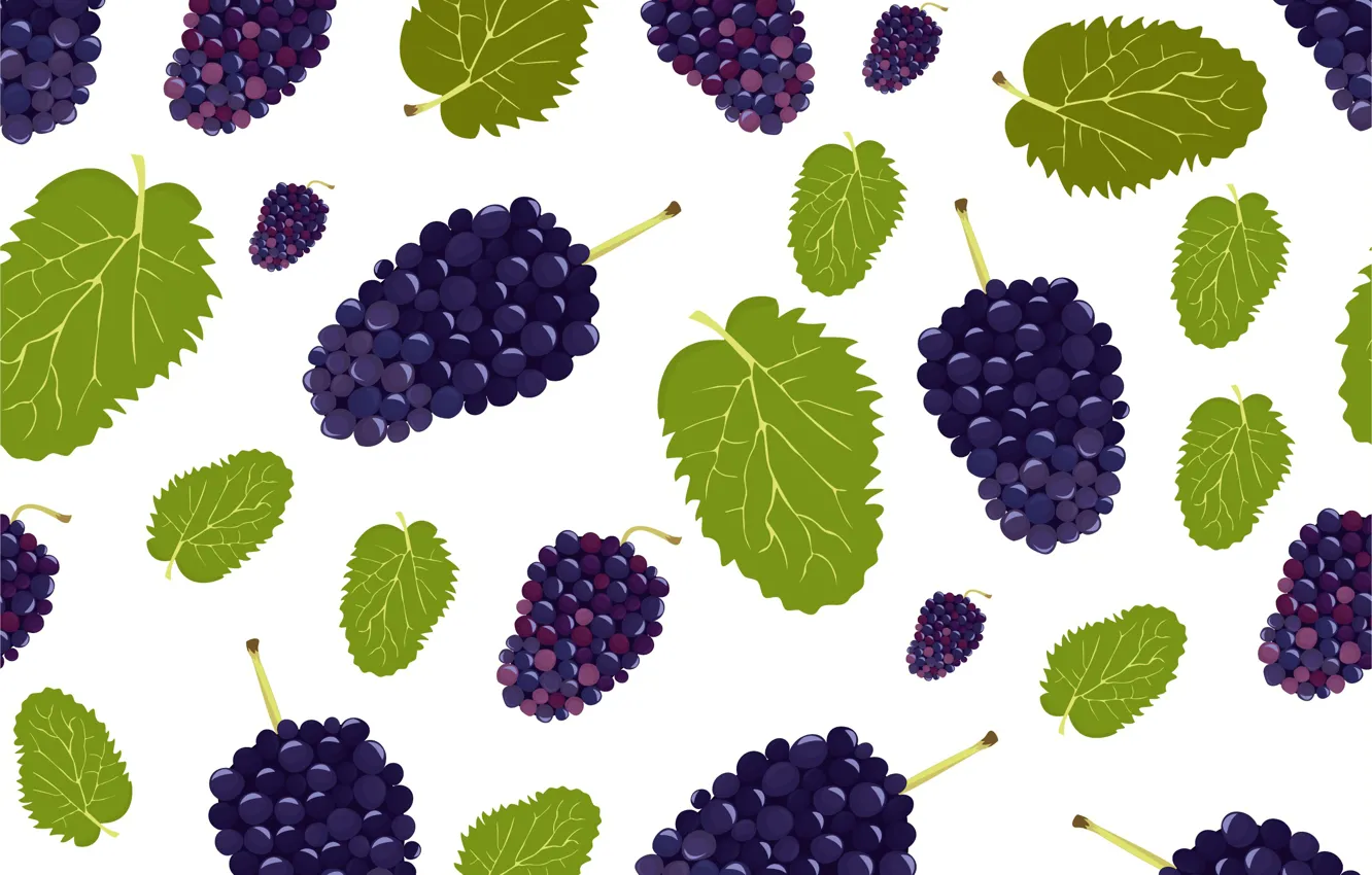 Photo wallpaper berries, texture, white background, BlackBerry