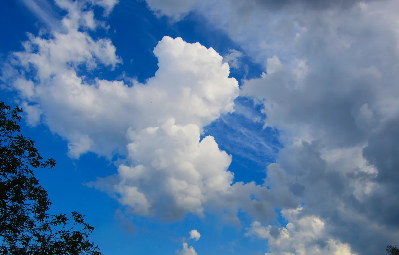 Photo wallpaper white, sky, cloud