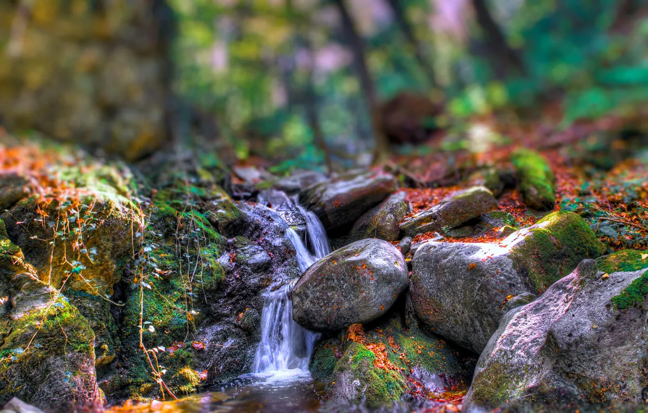 Photo wallpaper autumn, forest, trees, river, stones, rocks, stream, special effect