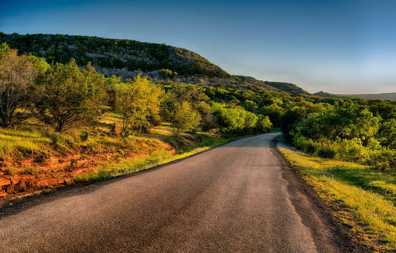 Photo wallpaper road, greens, the sun, hills, USA, the bushes, Texas, Plain