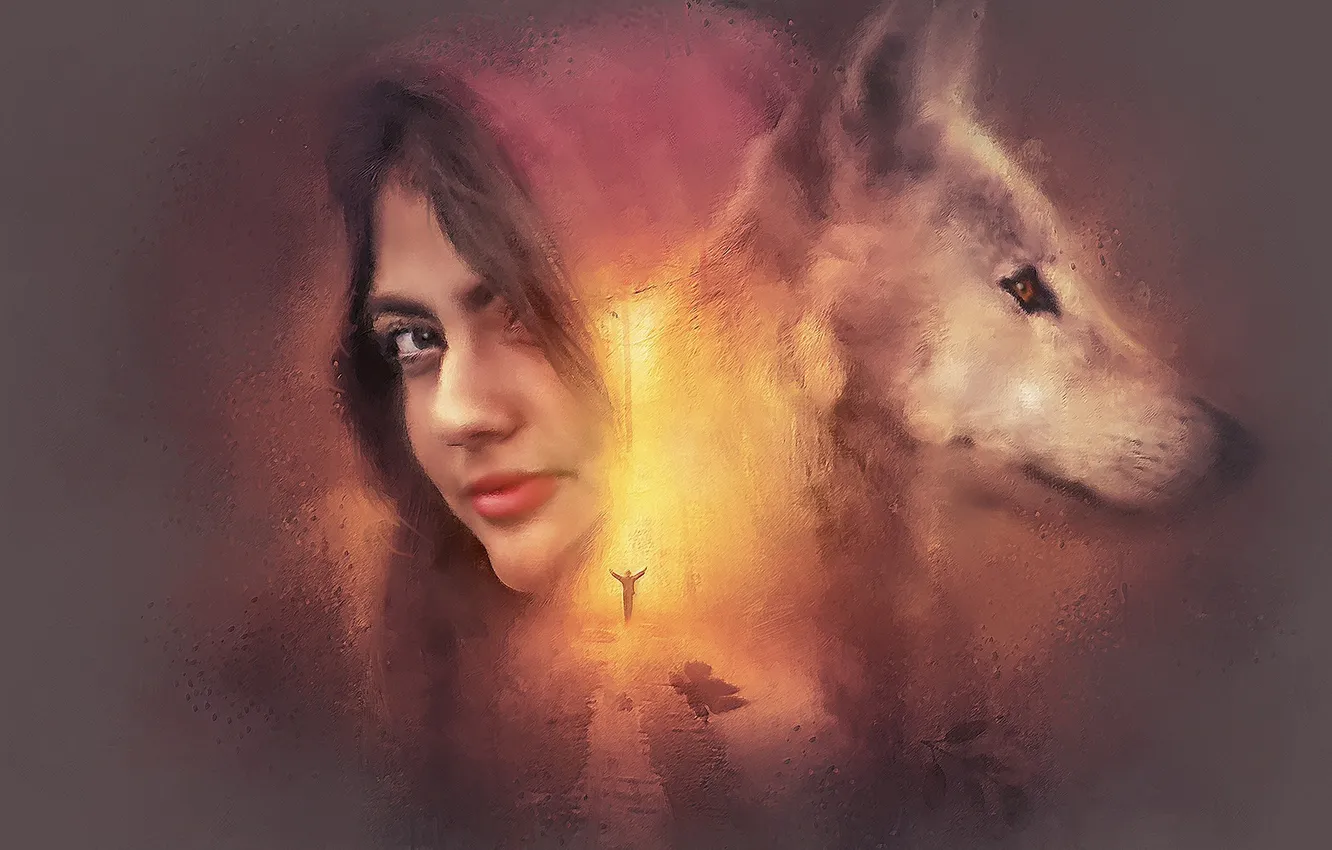 Photo wallpaper Predator, nature, snow, face, animal, wolf, canis lupus, wildlife