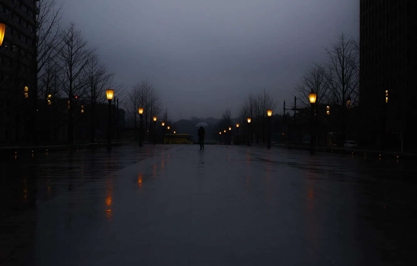 Photo wallpaper umbrella, square, man, lamps