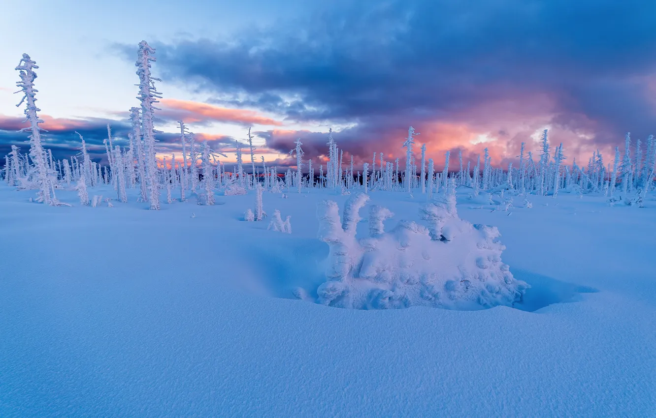 Photo wallpaper winter, snow, trees, sunset, Czech Republic, the snow, Bohemia, Czech Republic