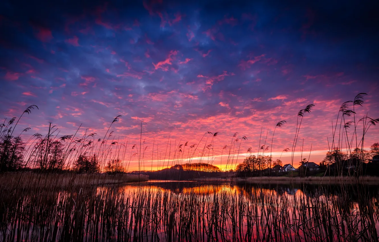 Photo wallpaper the sky, grass, clouds, trees, sunset, orange, lake, reflection