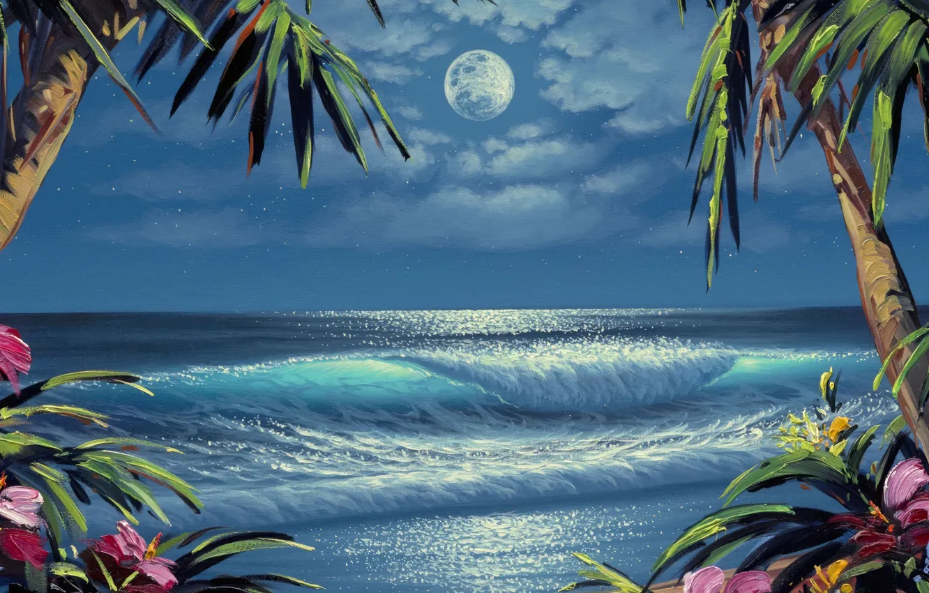 Photo wallpaper tropics, sea, tropics, sea, background, background, night, night