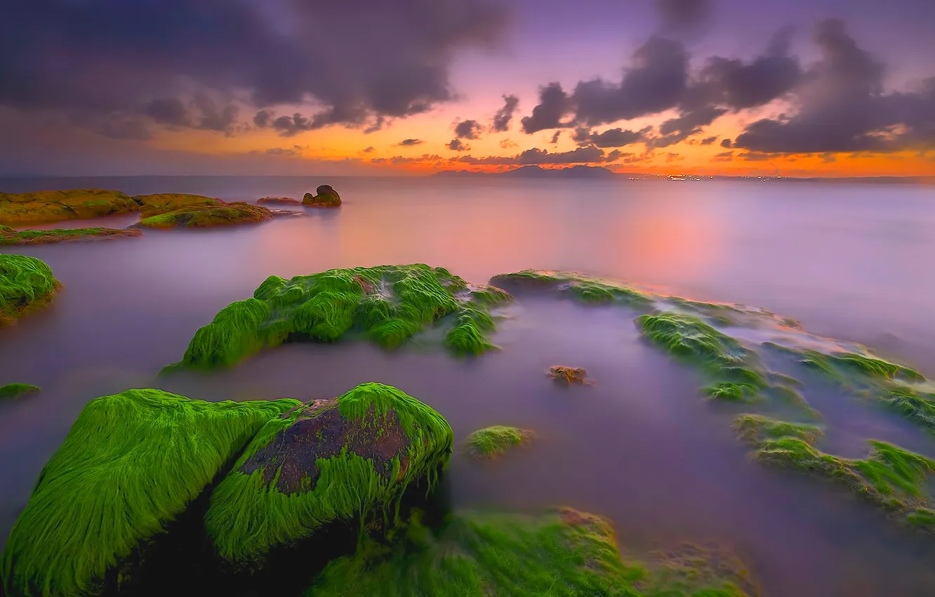 Photo wallpaper sea, the sky, clouds, algae, sunset, nature, stones