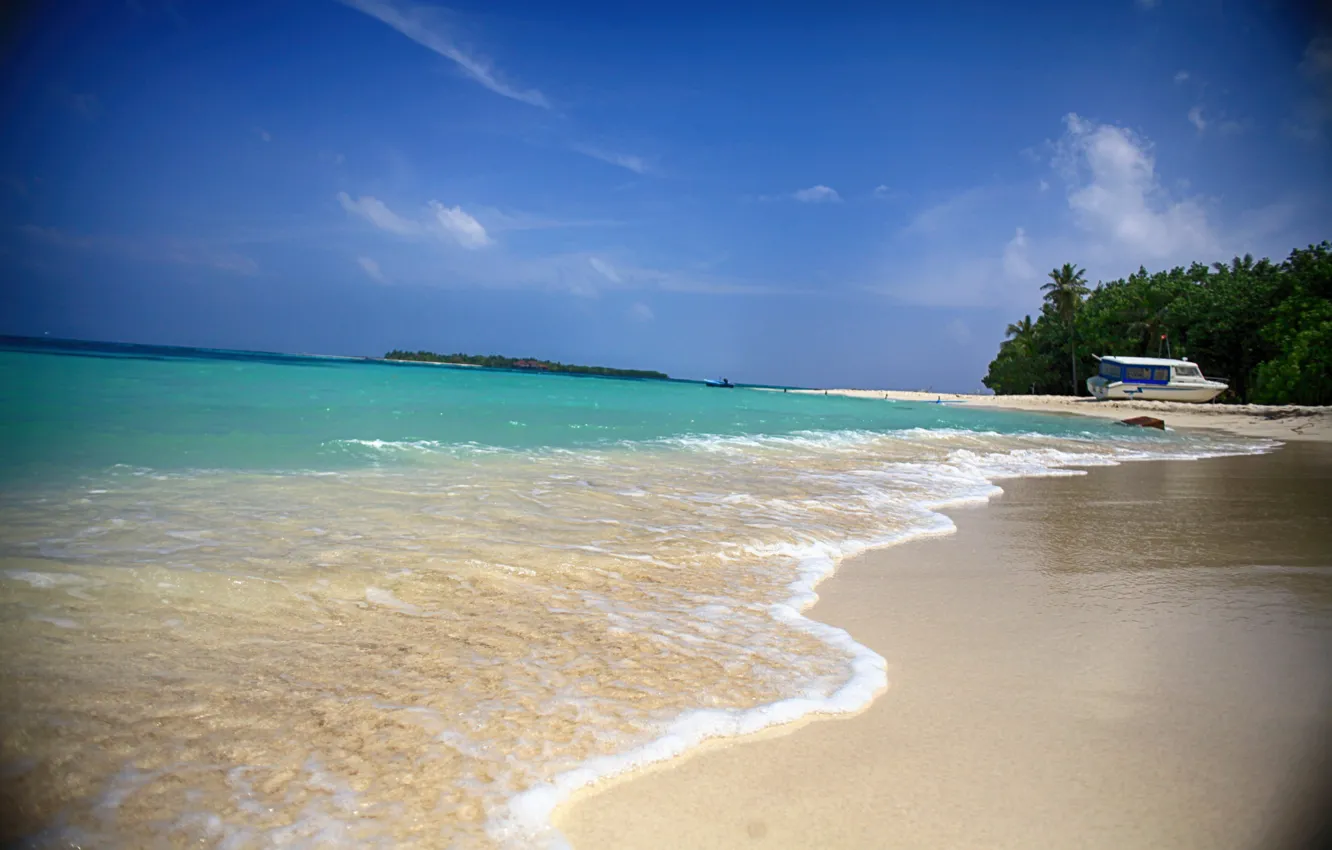 Photo wallpaper sea, beach, water, nature, palm trees, beauty