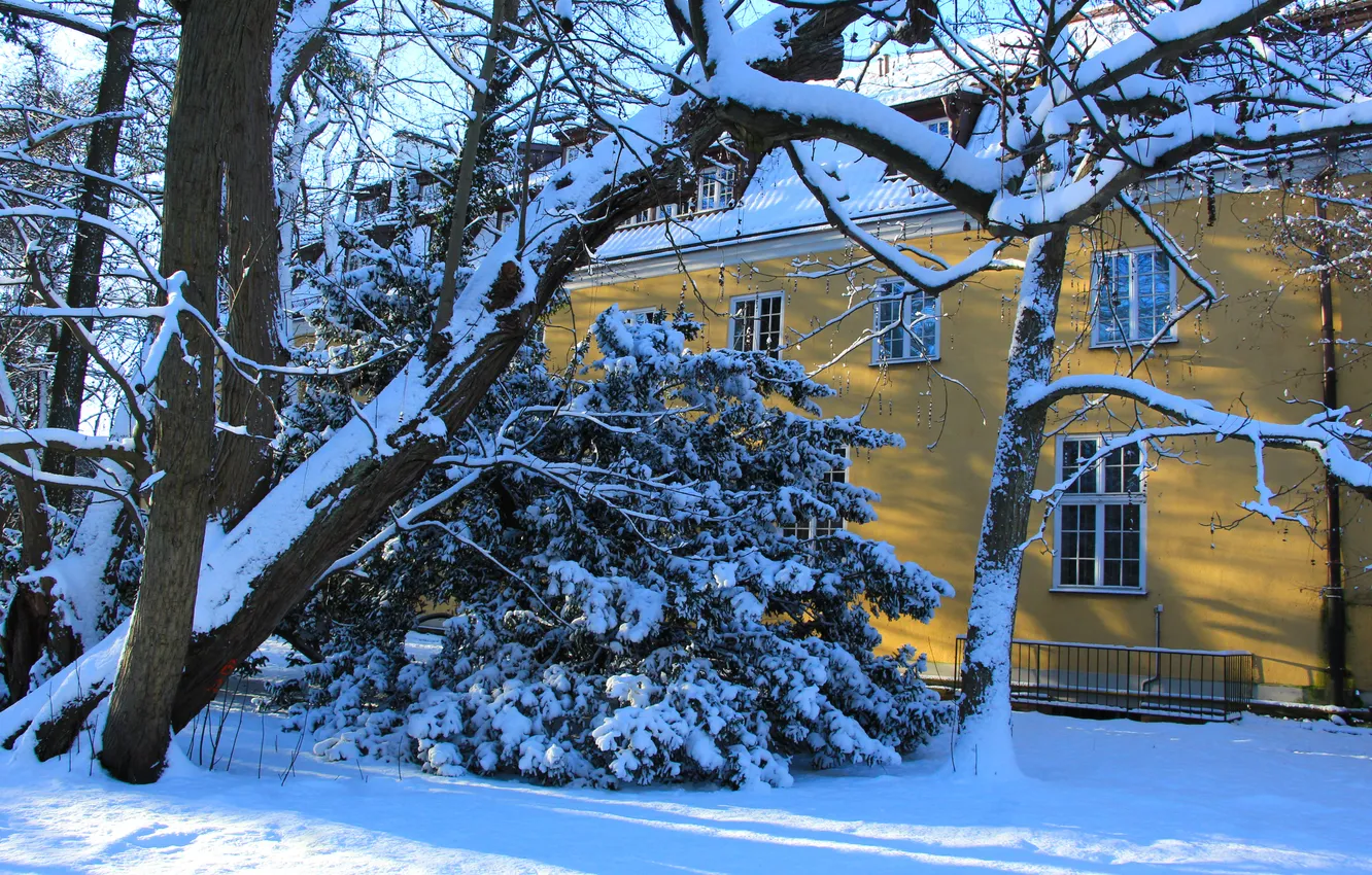 Photo wallpaper house, trees, park, winter, snow
