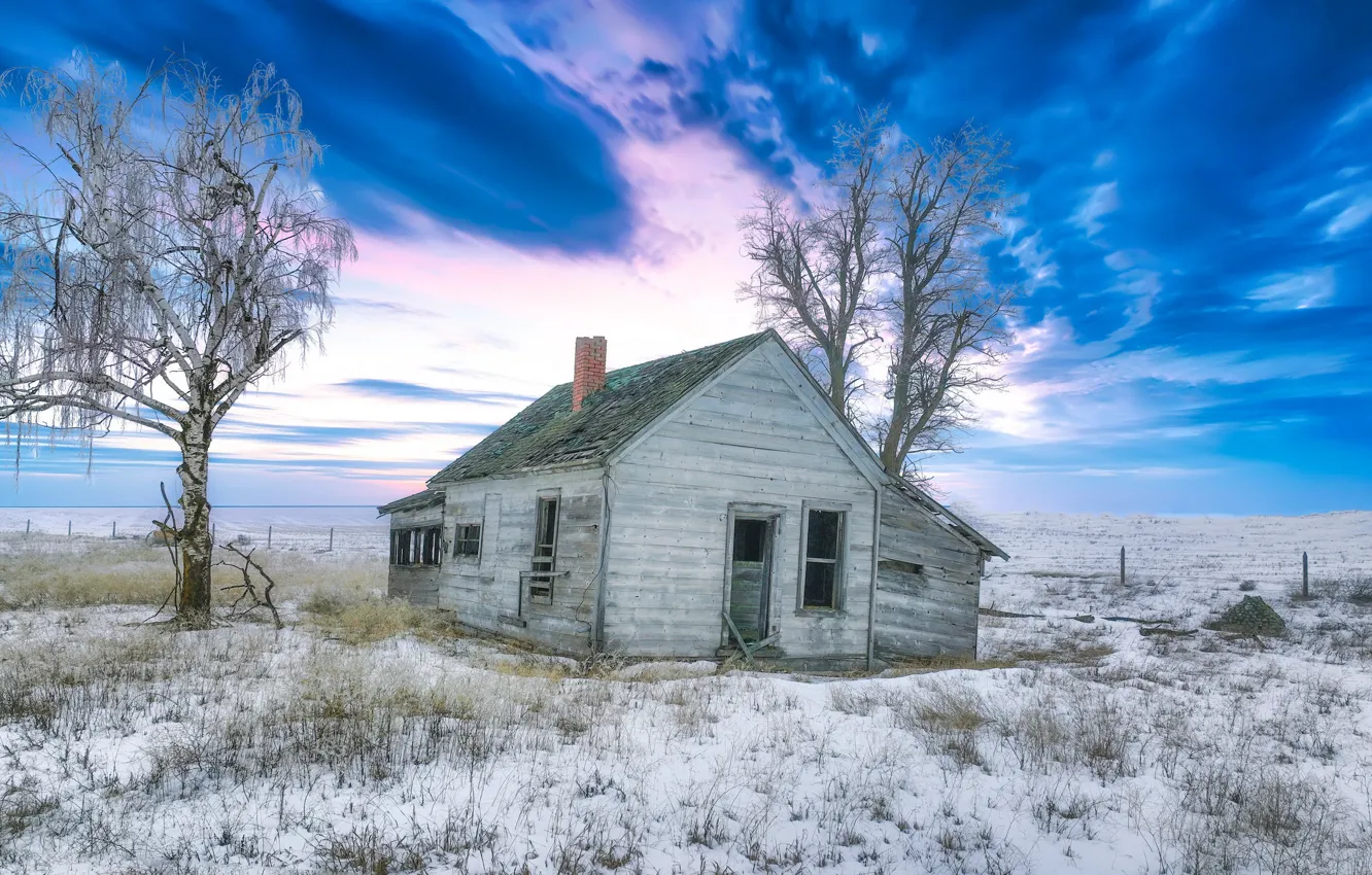 Photo wallpaper field, nature, home