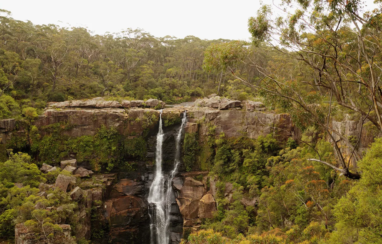 Photo wallpaper trees, stream, stones, rocks, waterfall, Australia, Robertson, Carrington Falls