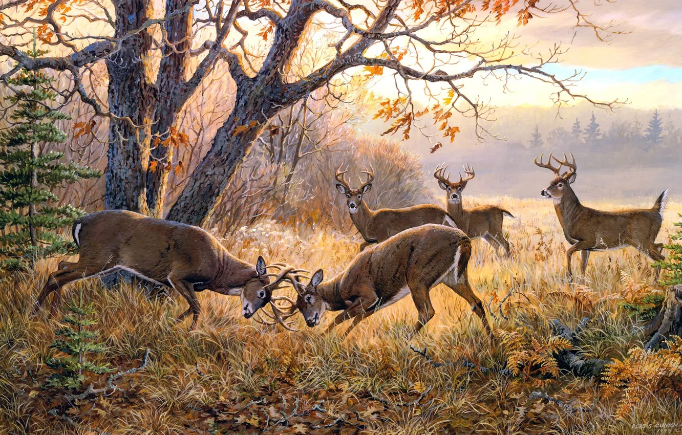 Photo wallpaper autumn, animals, overcast, the situation, painting, deer, the fight, Persis Clayton Weirs