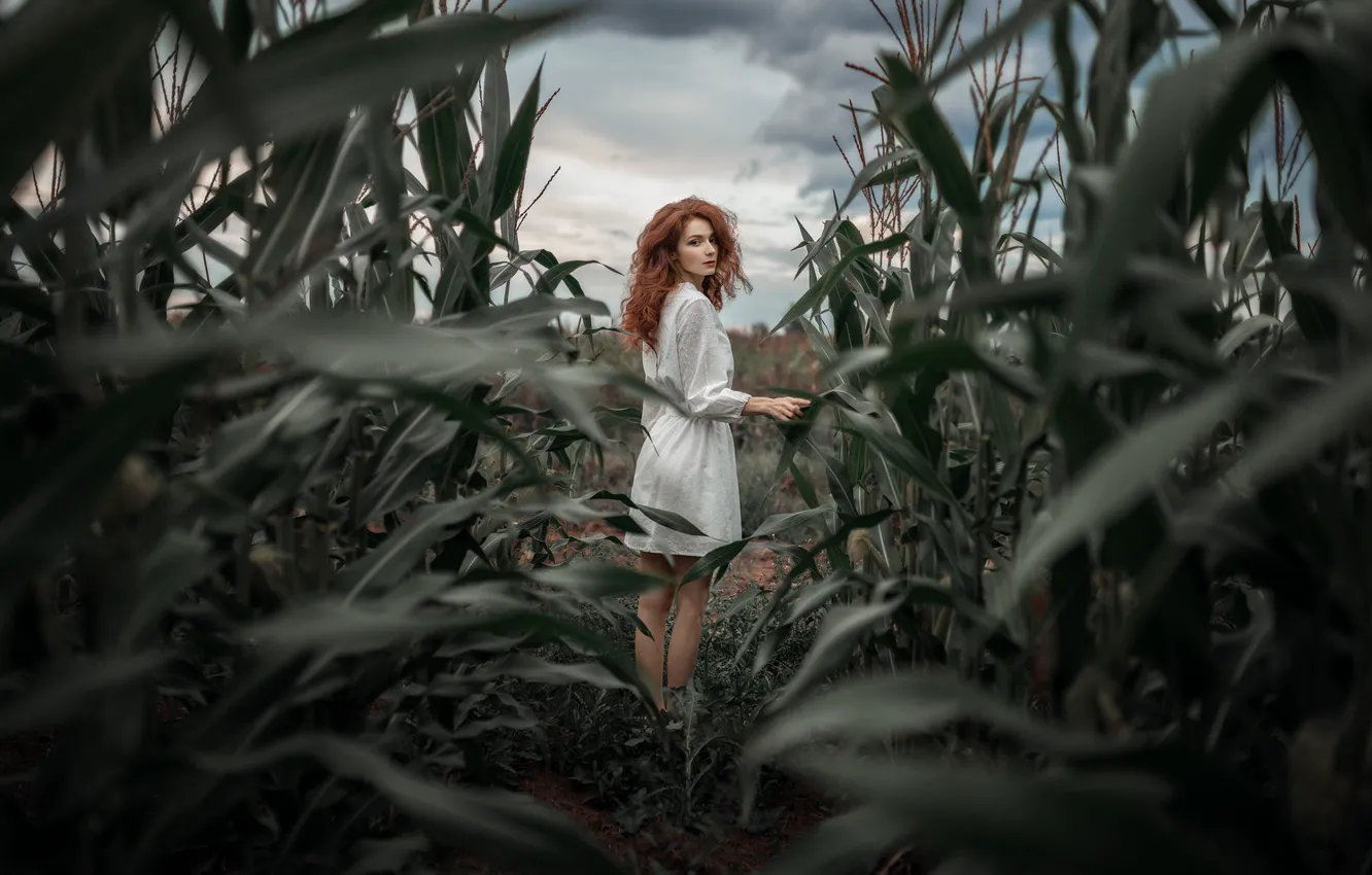 Photo wallpaper field, summer, the sky, look, leaves, girl, clouds, nature