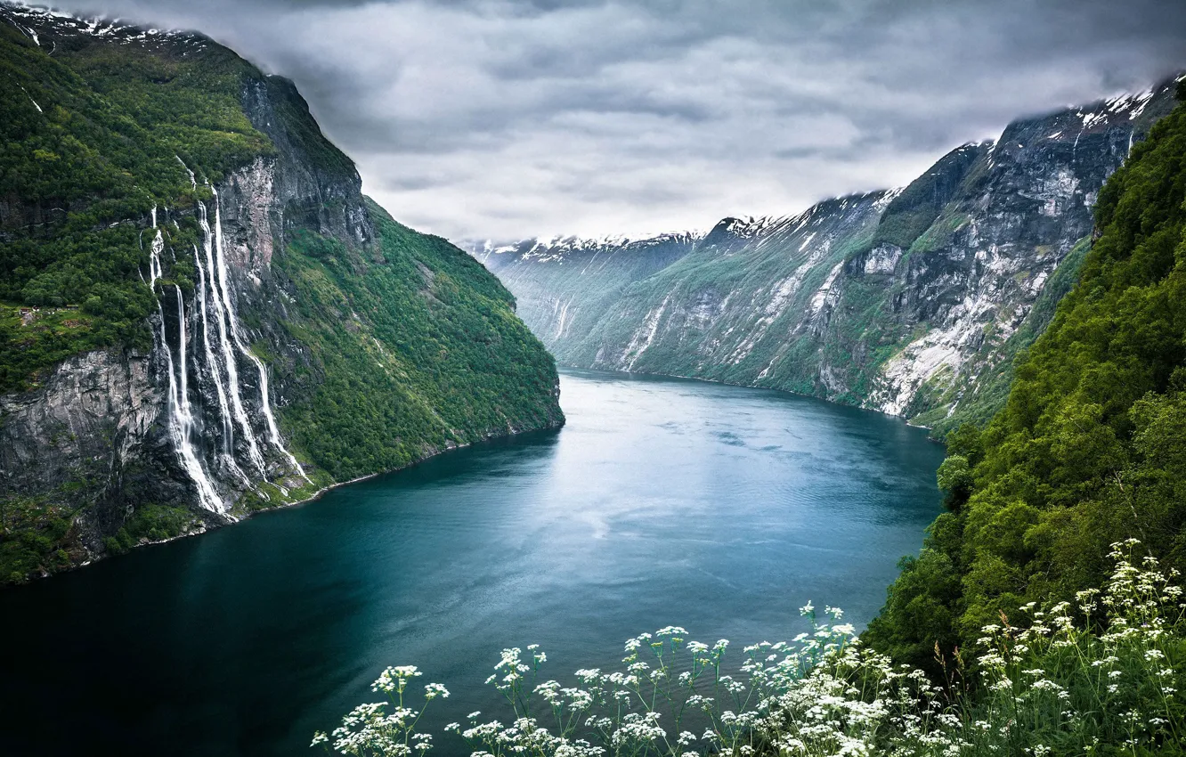 Photo wallpaper flowers, mountains, Norway, the fjord