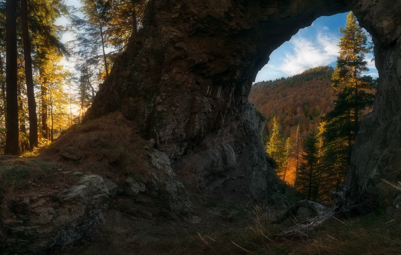 Photo wallpaper autumn, forest, the sky, light, trees, stones, rocks, spruce