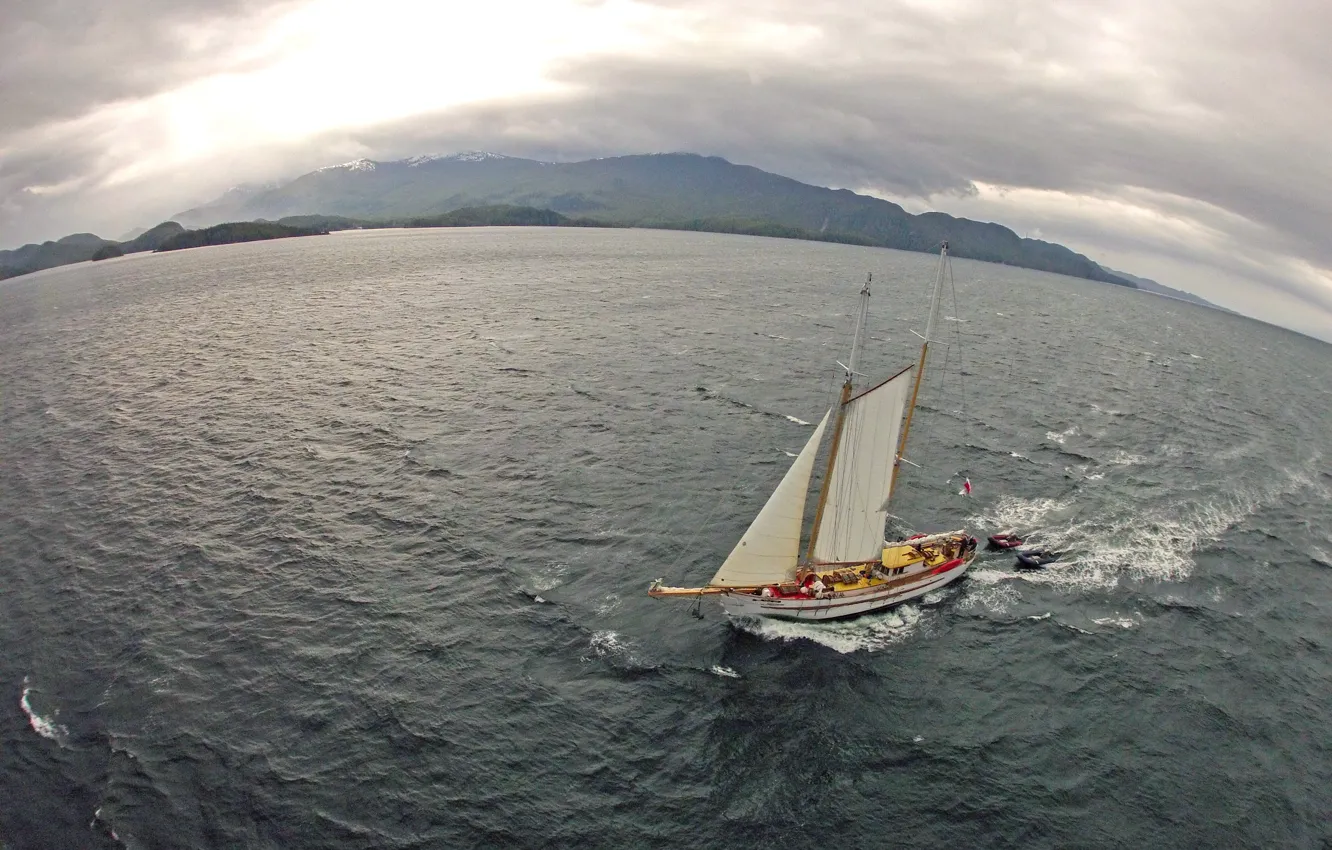 Photo wallpaper sea, overcast, shore, sailboat