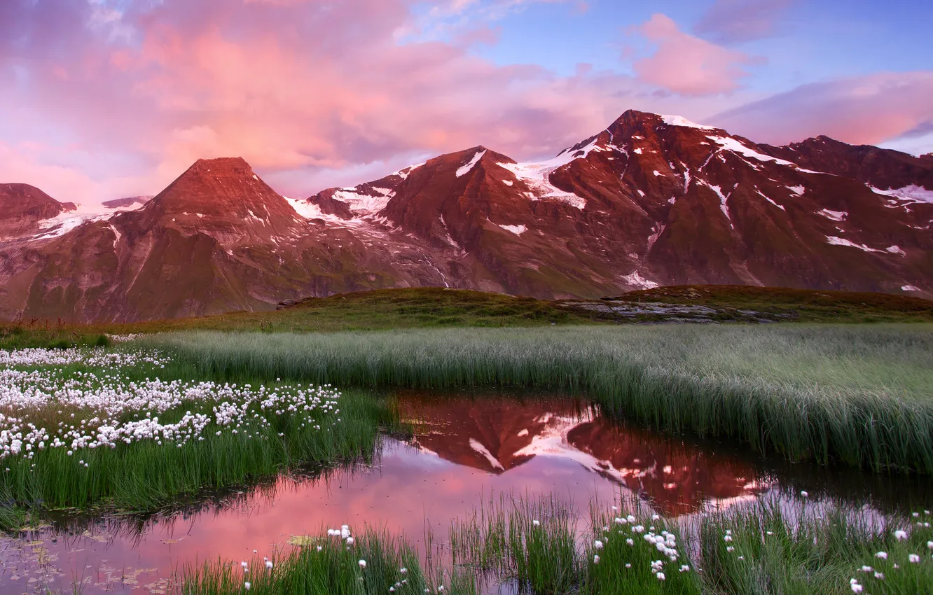 Photo wallpaper landscape, flowers, mountains, nature, river