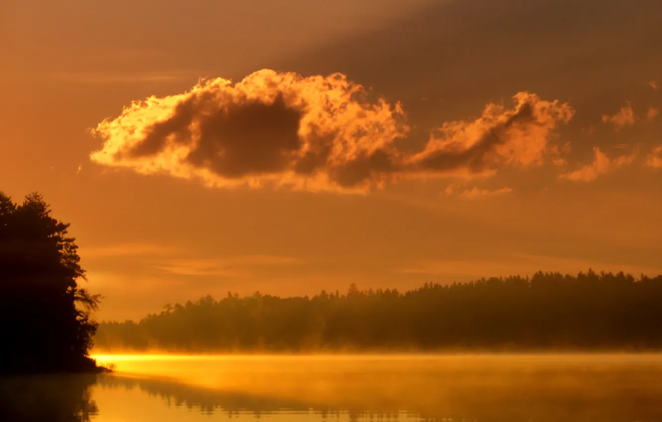 Photo wallpaper water, light, trees, fog, lake, river, landscapes