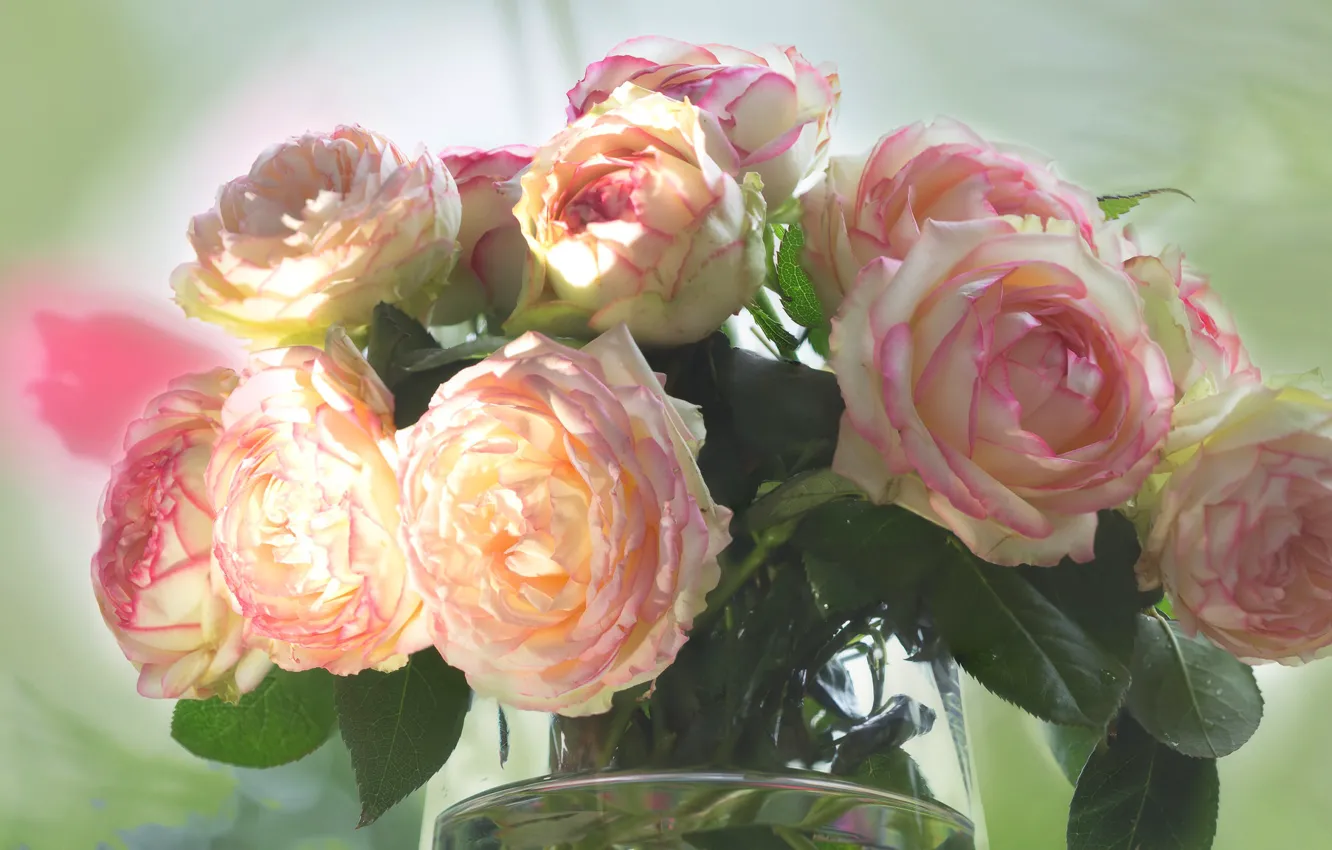Photo wallpaper glass, leaves, background, roses, bouquet, light, vase, gentle