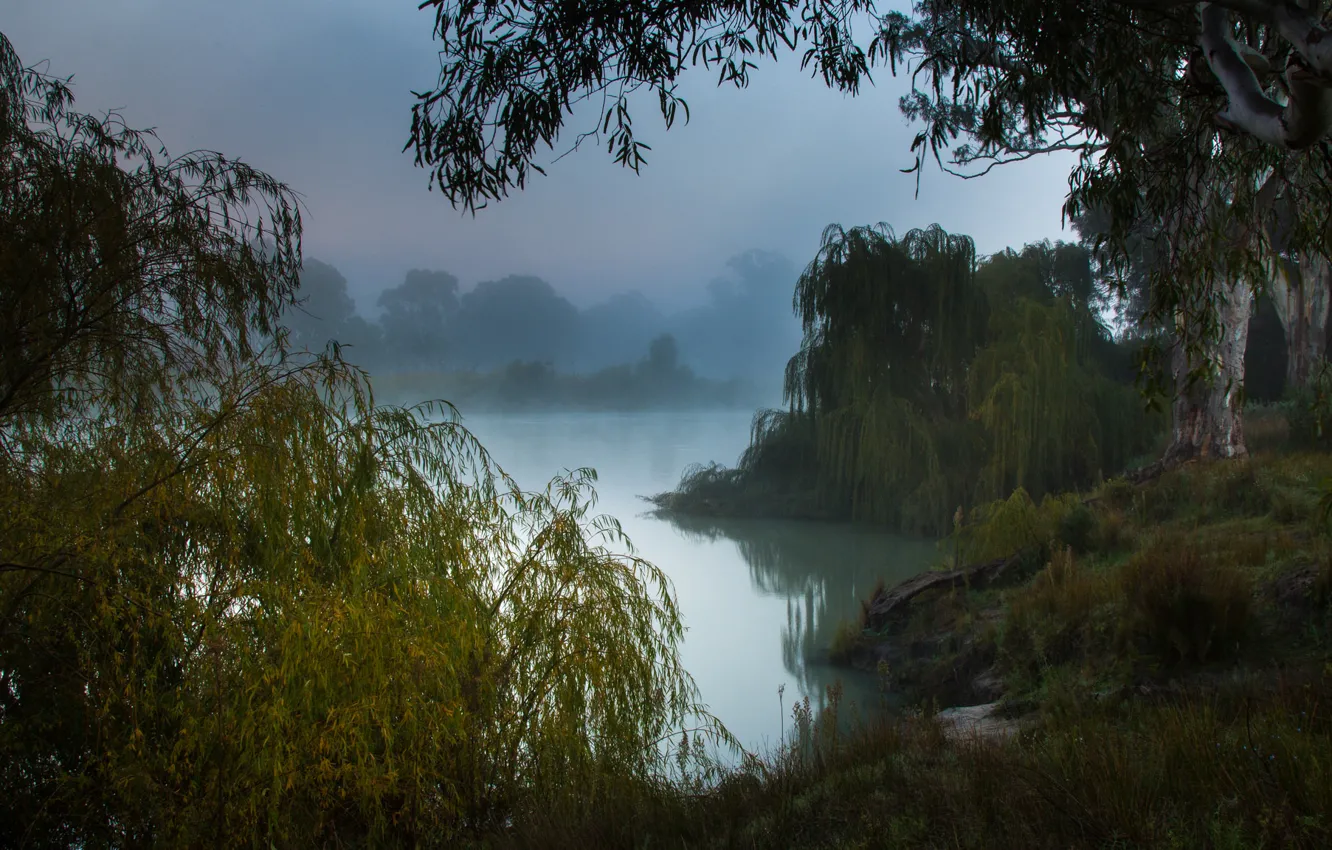 Photo wallpaper misty morning, the Murray river, South Australia