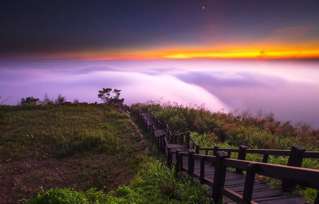 Photo wallpaper the sky, sunset, ladder